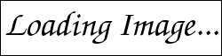 Loading